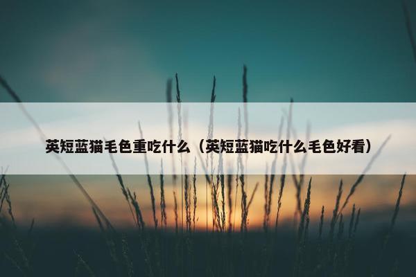 英短蓝猫毛色重吃什么（英短蓝猫吃什么毛色好看）