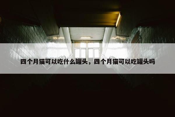 四个月猫可以吃什么罐头，四个月猫可以吃罐头吗