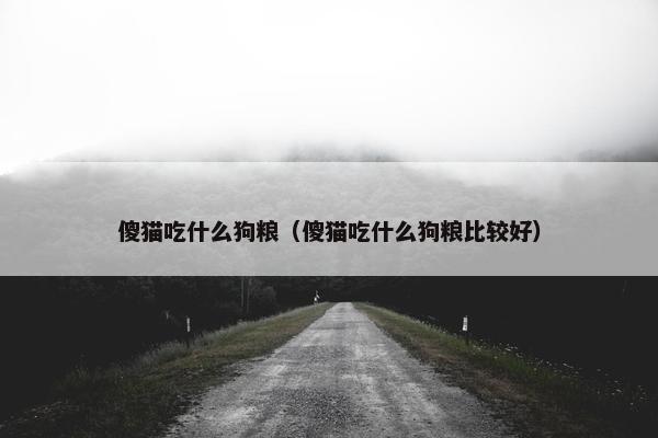 傻猫吃什么狗粮（傻猫吃什么狗粮比较好）