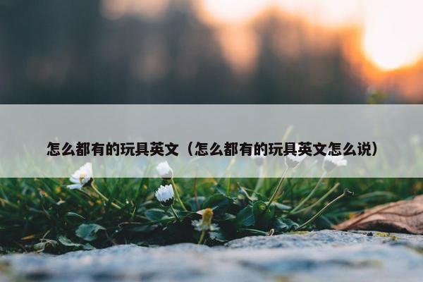 怎么都有的玩具英文（怎么都有的玩具英文怎么说）