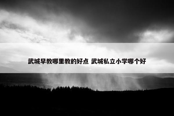 武城早教哪里教的好点 武城私立小学哪个好