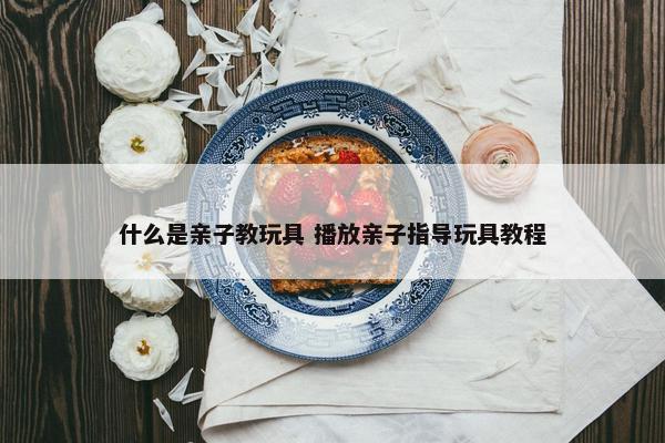 什么是亲子教玩具 播放亲子指导玩具教程