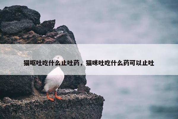 猫呕吐吃什么止吐药，猫咪吐吃什么药可以止吐