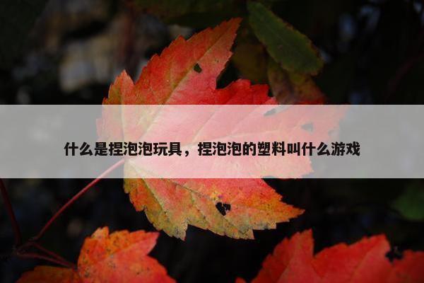 什么是捏泡泡玩具，捏泡泡的塑料叫什么游戏