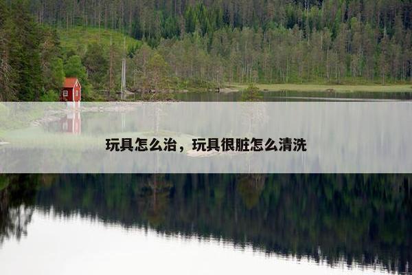 玩具怎么治，玩具很脏怎么清洗