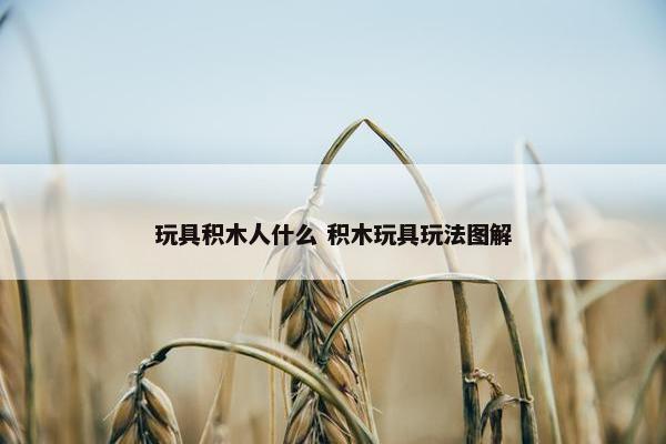 玩具积木人什么 积木玩具玩法图解