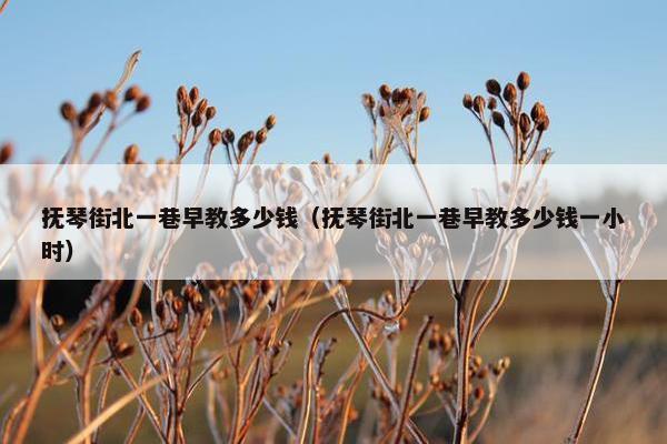 抚琴街北一巷早教多少钱（抚琴街北一巷早教多少钱一小时）