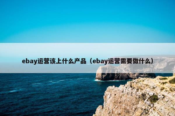 ebay运营该上什么产品（ebay运营需要做什么）