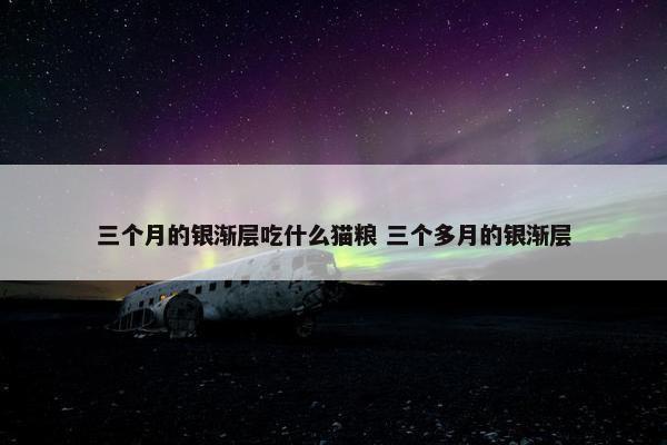 三个月的银渐层吃什么猫粮 三个多月的银渐层