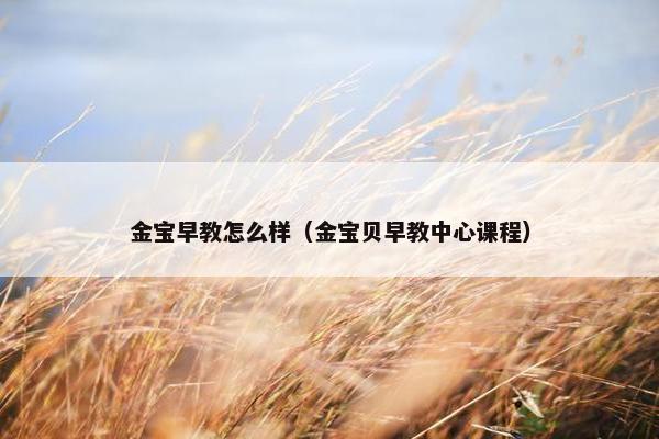 金宝早教怎么样（金宝贝早教中心课程）