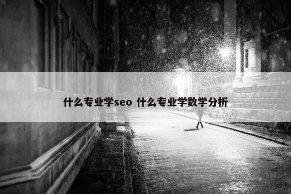 什么专业学seo 什么专业学数学分析