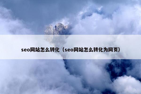 seo网站怎么转化（seo网站怎么转化为网页）