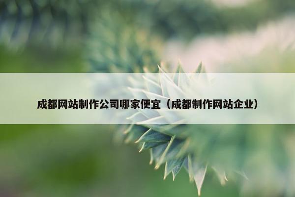 成都网站制作公司哪家便宜（成都制作网站企业）