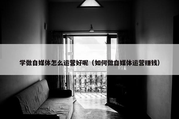 学做自媒体怎么运营好呢（如何做自媒体运营赚钱）