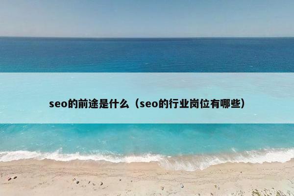 seo的前途是什么（seo的行业岗位有哪些）