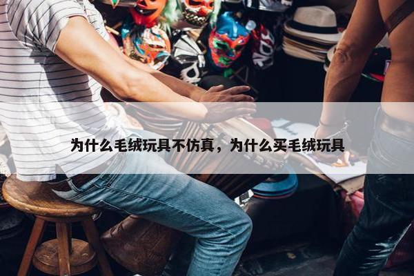 为什么毛绒玩具不仿真，为什么买毛绒玩具