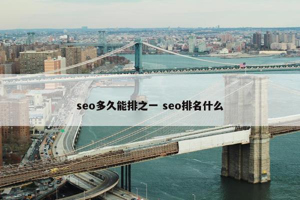 seo多久能排之一 seo排名什么