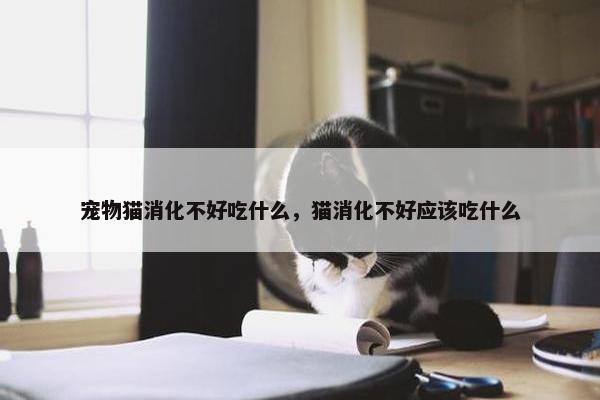 宠物猫消化不好吃什么，猫消化不好应该吃什么