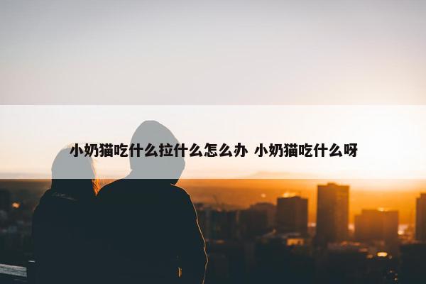 小奶猫吃什么拉什么怎么办 小奶猫吃什么呀