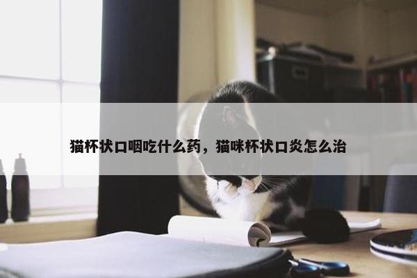 猫杯状口咽吃什么药，猫咪杯状口炎怎么治