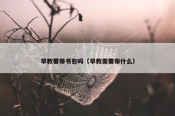 早教要带书包吗（早教需要带什么）