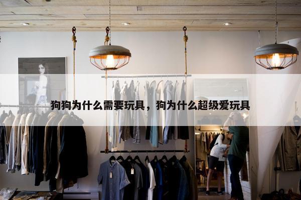 狗狗为什么需要玩具，狗为什么超级爱玩具