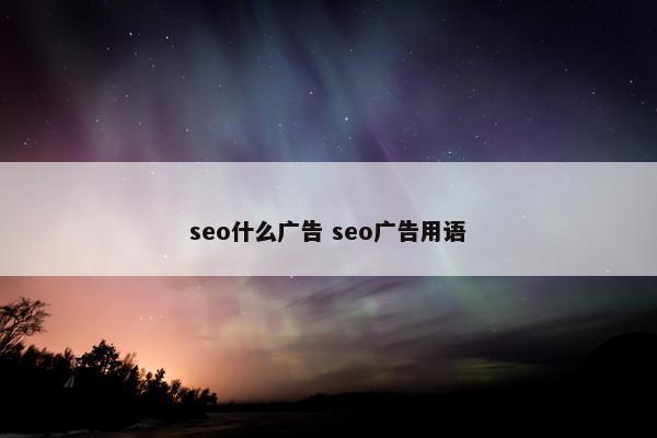 seo什么广告 seo广告用语