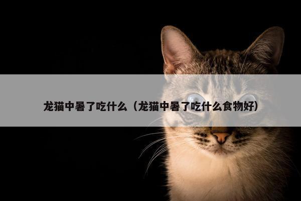 龙猫中暑了吃什么（龙猫中暑了吃什么食物好）