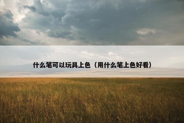 什么笔可以玩具上色（用什么笔上色好看）