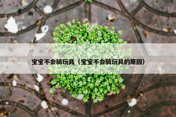 宝宝不会骑玩具（宝宝不会骑玩具的原因）