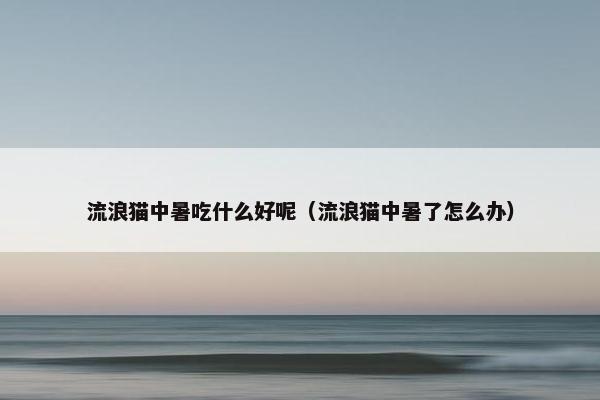 流浪猫中暑吃什么好呢（流浪猫中暑了怎么办）