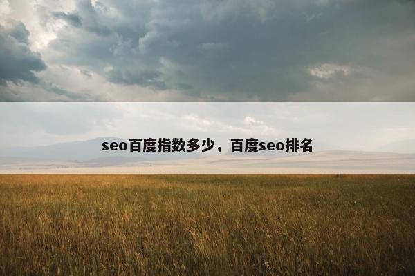 seo百度指数多少，百度seo排名