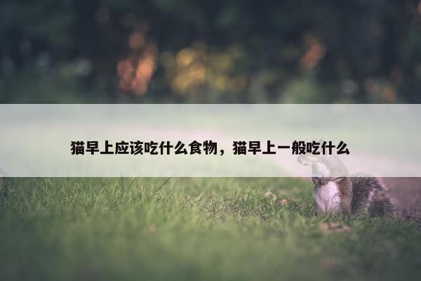 猫早上应该吃什么食物，猫早上一般吃什么