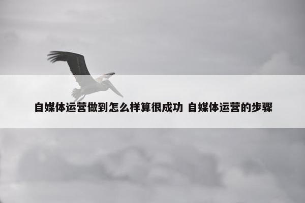 自媒体运营做到怎么样算很成功 自媒体运营的步骤