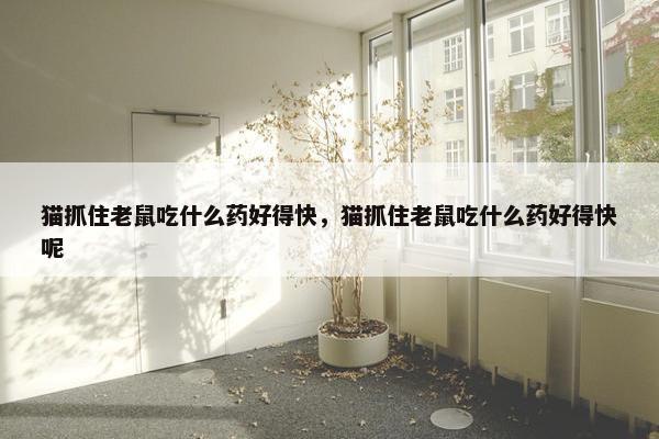 猫抓住老鼠吃什么药好得快，猫抓住老鼠吃什么药好得快呢