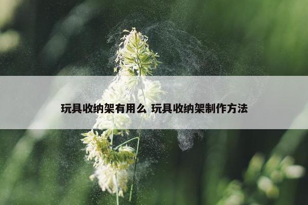 玩具收纳架有用么 玩具收纳架制作方法