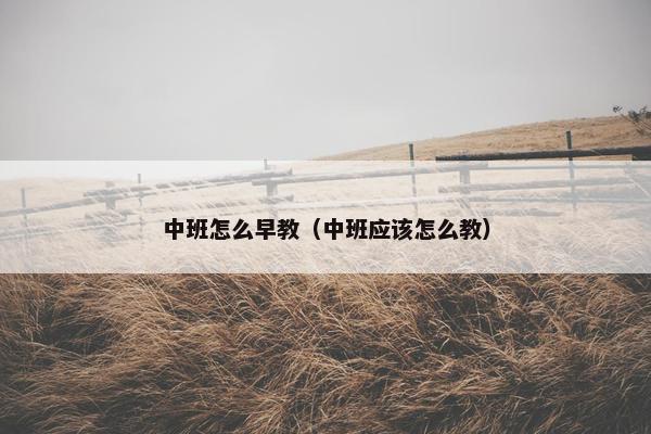 中班怎么早教（中班应该怎么教）