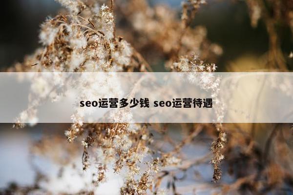 seo运营多少钱 seo运营待遇