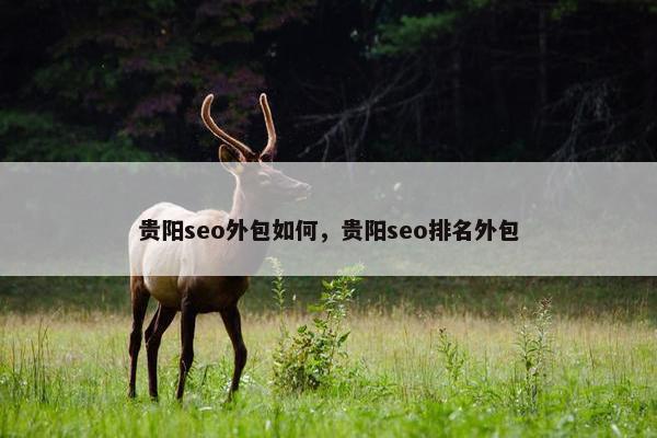 贵阳seo外包如何，贵阳seo排名外包