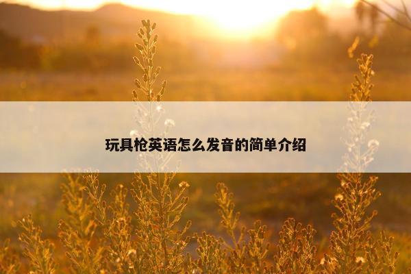 玩具枪英语怎么发音的简单介绍