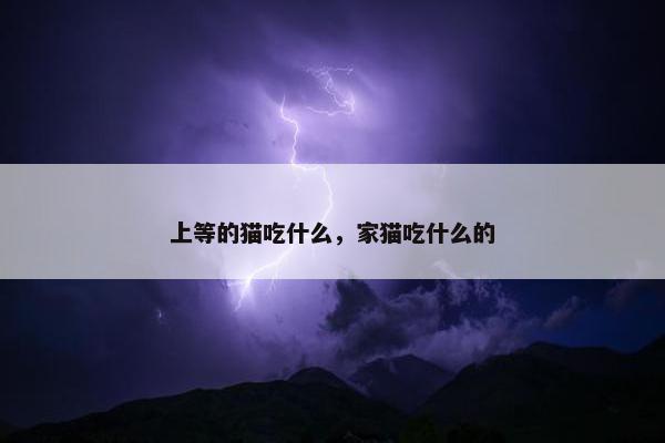 上等的猫吃什么，家猫吃什么的