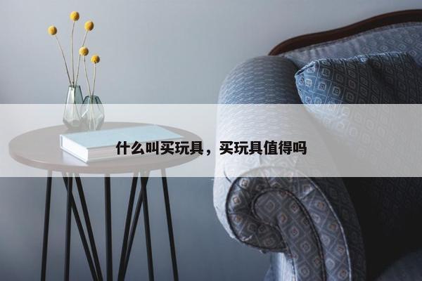 什么叫买玩具，买玩具值得吗