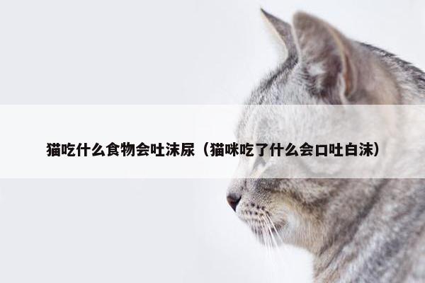 猫吃什么食物会吐沫尿（猫咪吃了什么会口吐白沫）