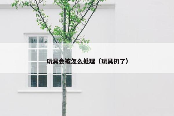 玩具会被怎么处理（玩具扔了）