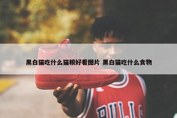 黑白猫吃什么猫粮好看图片 黑白猫吃什么食物