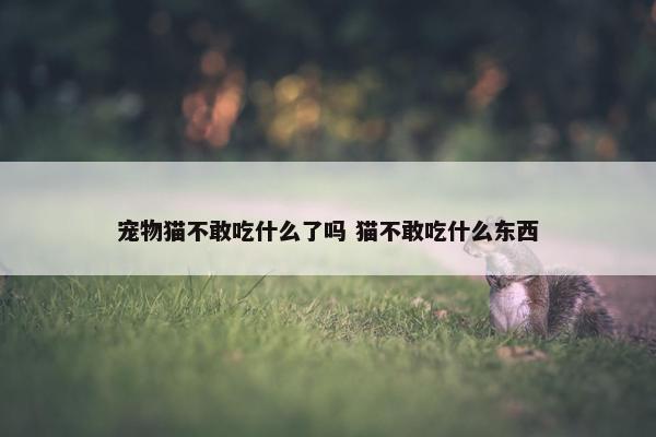 宠物猫不敢吃什么了吗 猫不敢吃什么东西