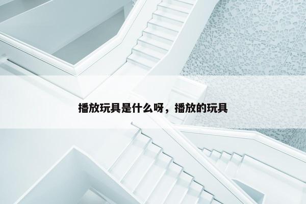 播放玩具是什么呀，播放的玩具