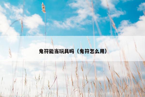 鬼符能当玩具吗（鬼符怎么用）