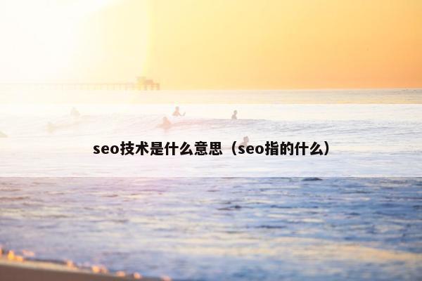 seo技术是什么意思（seo指的什么）