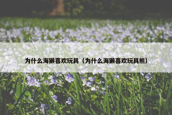 为什么海獭喜欢玩具（为什么海獭喜欢玩具熊）